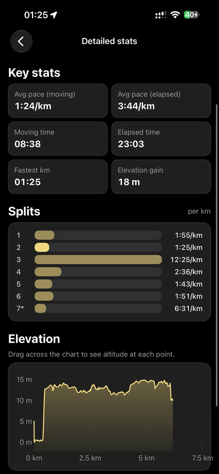 The detailed stats screen showing per-kilometre splits and an elevation profile
