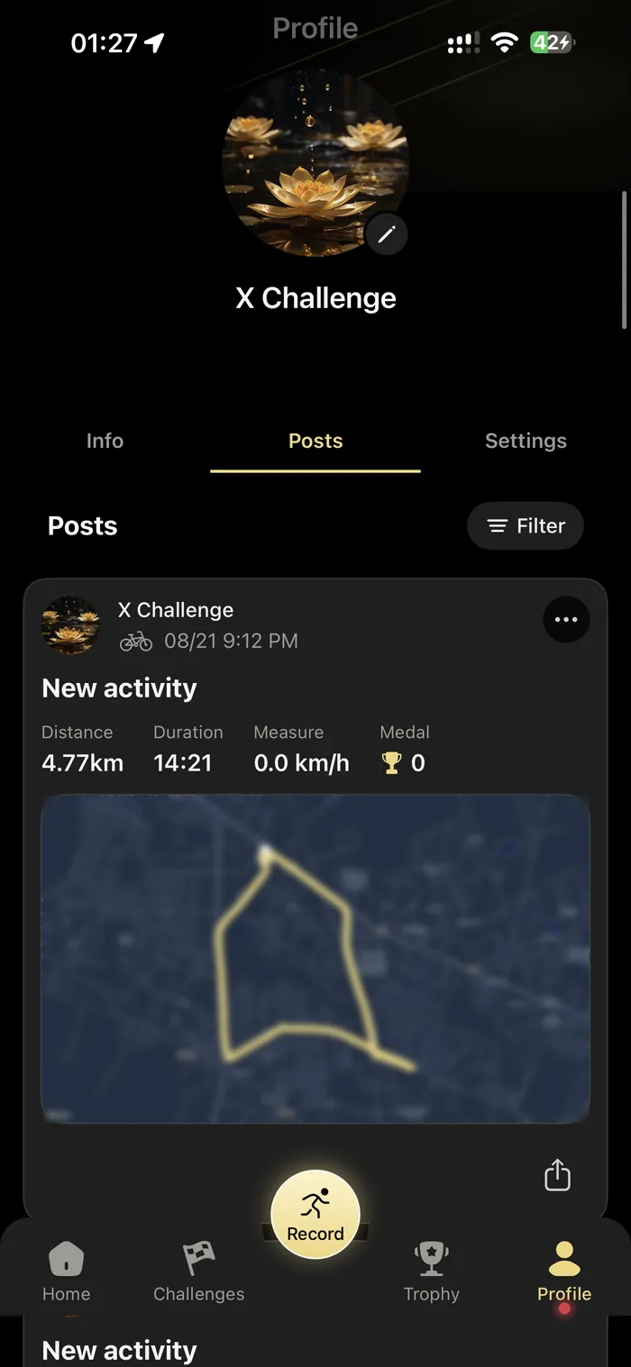 The Posts tab of a profile, showing a shared activity with its route map